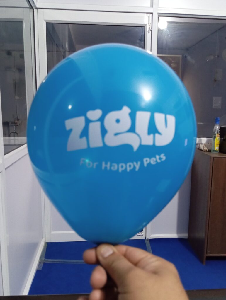 Rubber balloon advertising punjab